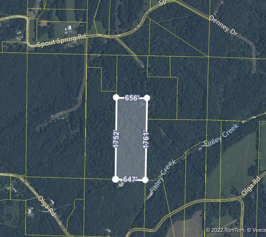 000 Spout Springs Road, Fordland, MO 65652