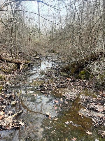 000 Spout Springs Road, Fordland, MO 65652