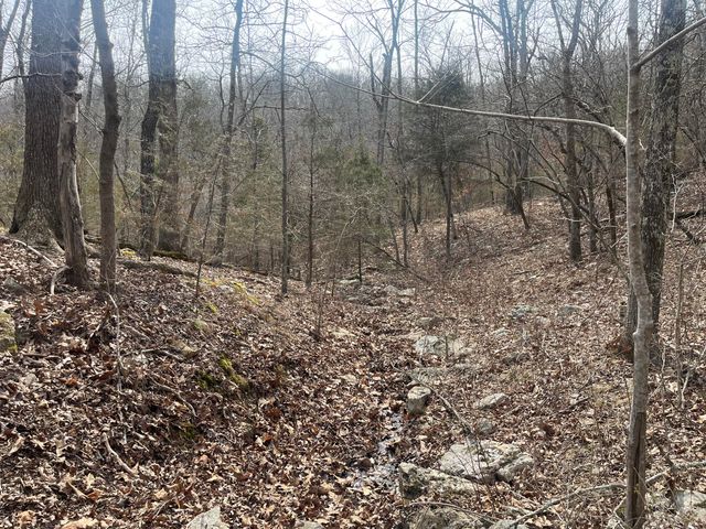 000 Spout Springs Road, Fordland, MO 65652