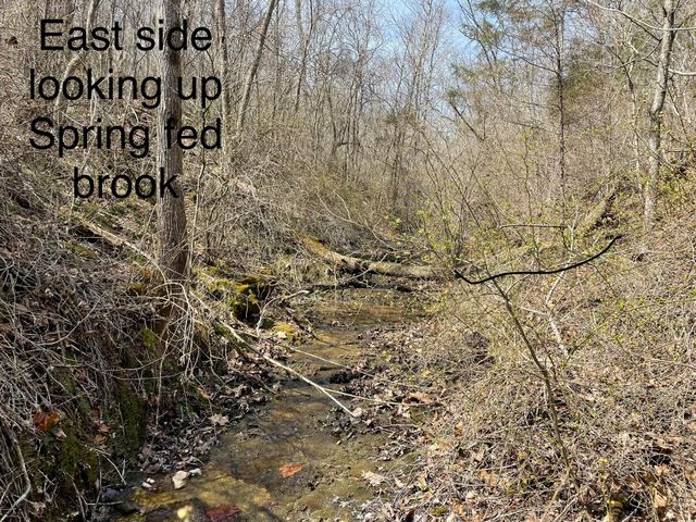 000 Spout Springs Road, Fordland, MO 65652