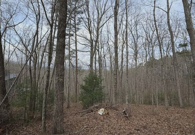 Tract B2 Mountain Ridge, Blue Ridge, GA 30513
