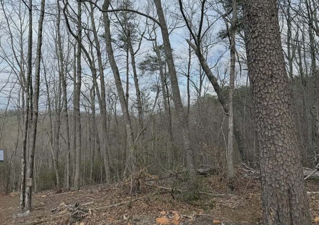 Tract B2 Mountain Ridge, Blue Ridge, GA 30513