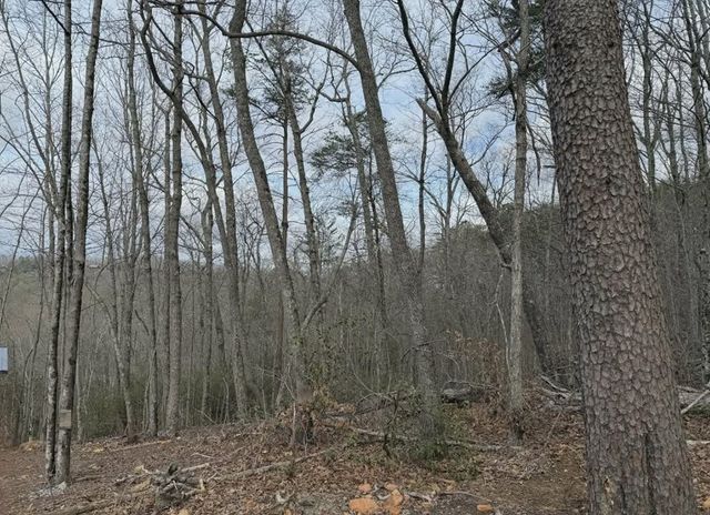 Tract B2 Mountain Ridge, Blue Ridge, GA 30513