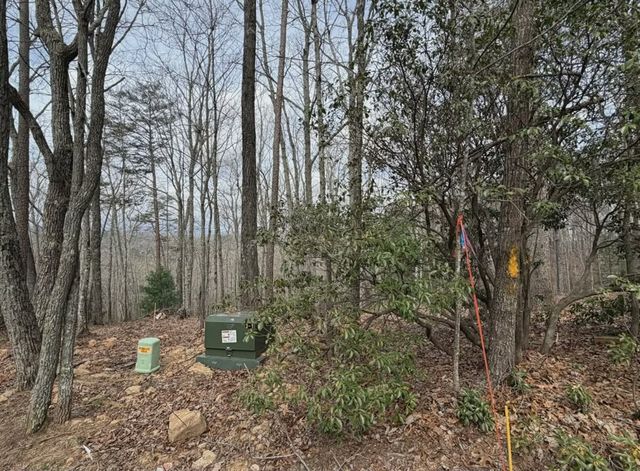Tract B2 Mountain Ridge, Blue Ridge, GA 30513