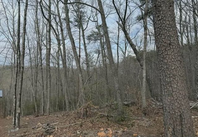 Tract B2 Mountain Ridge, Blue Ridge, GA 30513