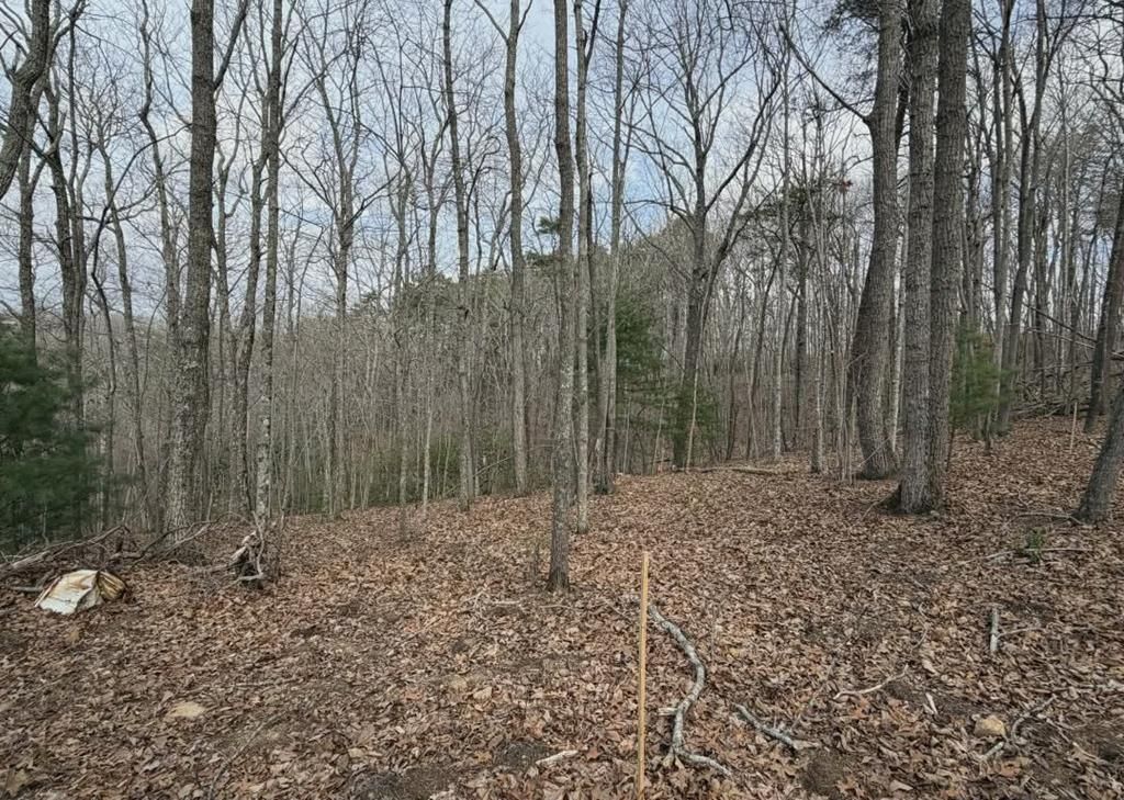 Tract B2 Mountain Ridge, Blue Ridge, GA 30513