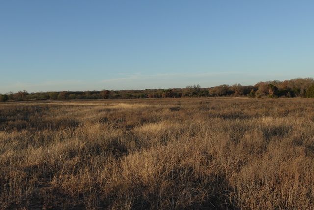 601 County Road 359, Dublin, TX 76446