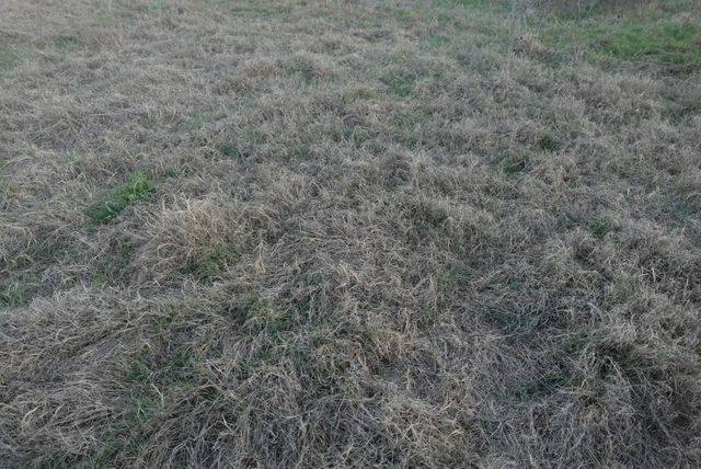 601 County Road 359, Dublin, TX 76446