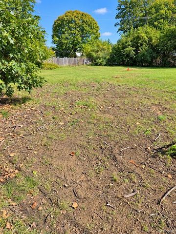 23846 Lillian Street, Brownstown, MI 48183