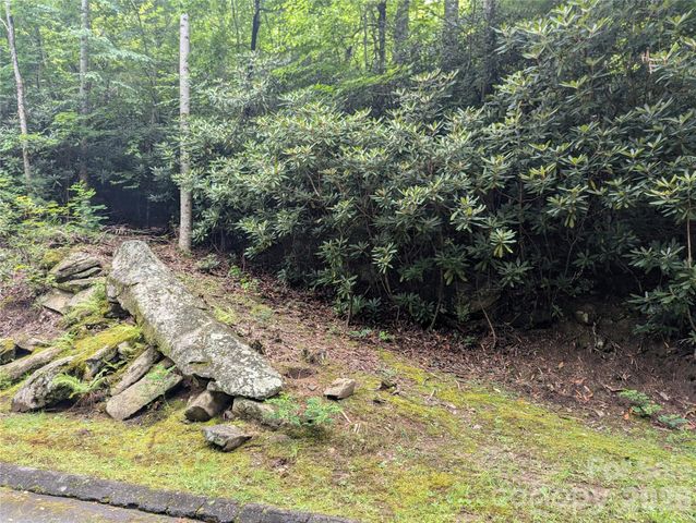99999 Maryland Place 1426, Montreat, NC 28757