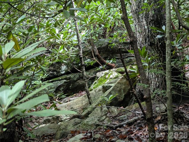 99999 Maryland Place 1426, Montreat, NC 28757