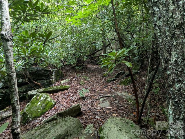 99999 Maryland Place 1426, Montreat, NC 28757