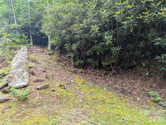 99999 Maryland Place 1426, Montreat, NC 28757