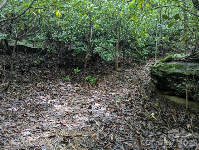 99999 Maryland Place 1426, Montreat, NC 28757