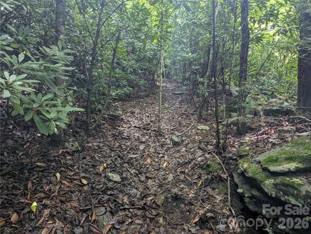 99999 Maryland Place 1426, Montreat, NC 28757