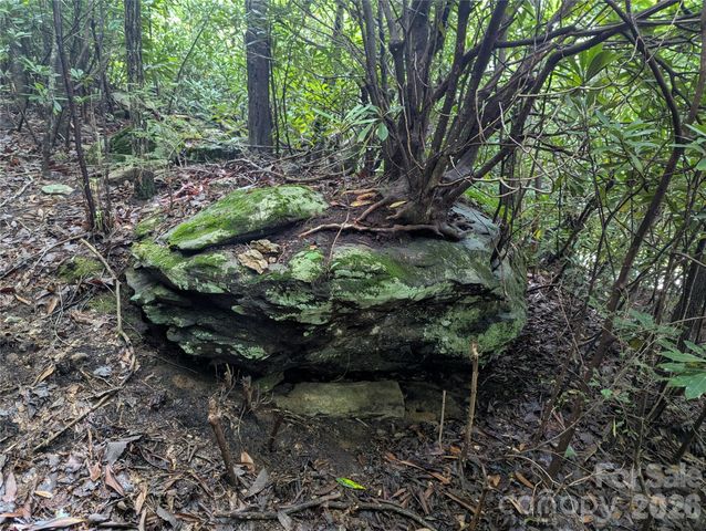 99999 Maryland Place 1426, Montreat, NC 28757