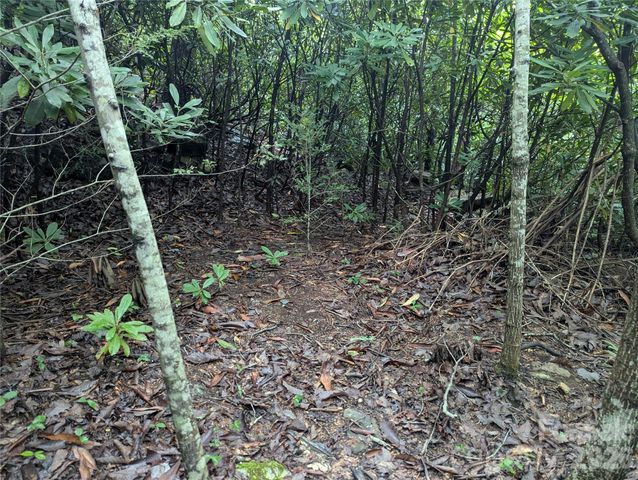 99999 Maryland Place 1426, Montreat, NC 28757