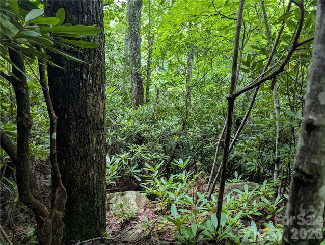 99999 Maryland Place 1426, Montreat, NC 28757