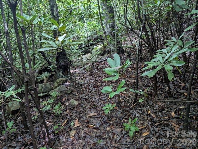 99999 Maryland Place 1426, Montreat, NC 28757