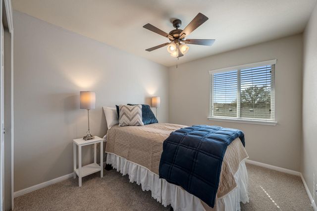 1044 Lost Pines LN, Cedar Park, TX 78613