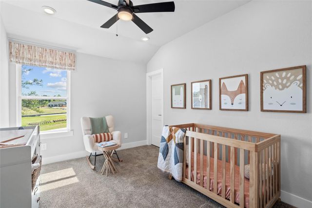 19608 Montgomery Ridge Way, Montgomery, TX 77316