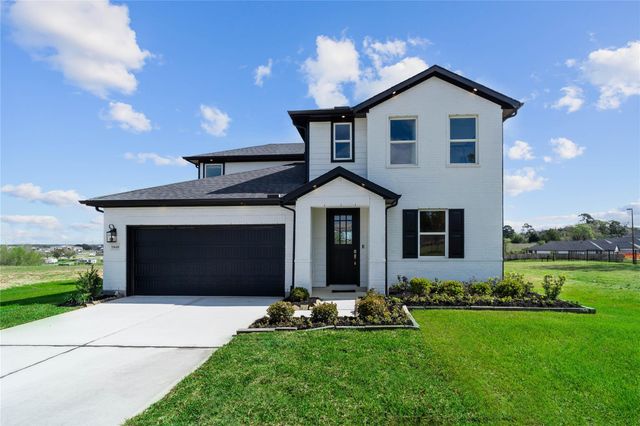 19608 Montgomery Ridge Way, Montgomery, TX 77316