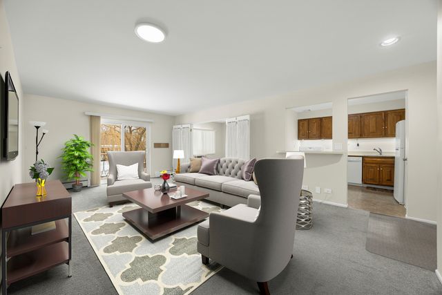 602 E Algonquin Road 207, Arlington Heights, IL 60005