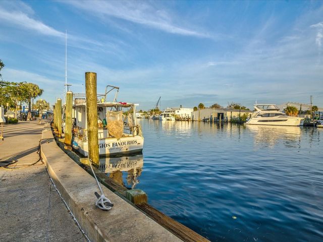 1647 SEA BREEZE DRIVE, Tarpon Springs, FL 34689