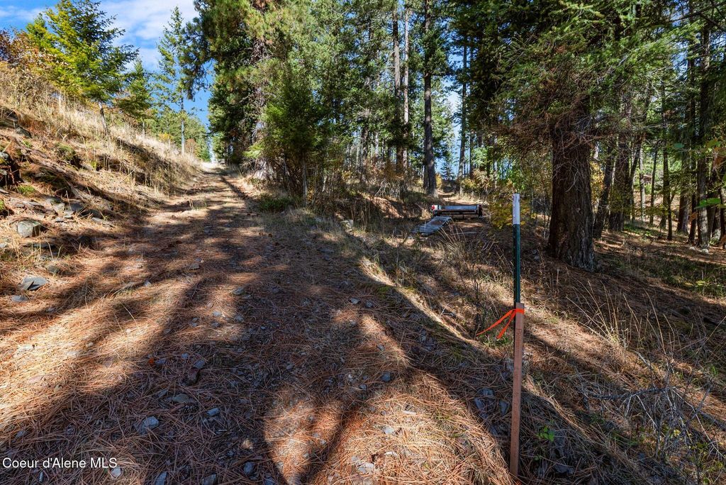 376 Walston Ln, Sagle, ID 83860 photo 30