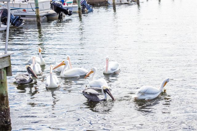 10315 CORTEZ ROAD W 28-1, Bradenton, FL 34210