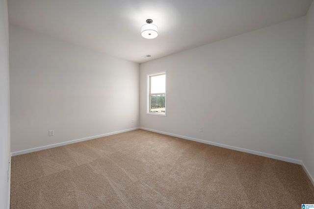 6628 LITTLE GOOSE DRIVE, Trussville, AL 35173