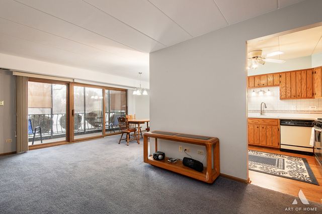 11119 Heritage Drive 1B, Palos Hills, IL 60465