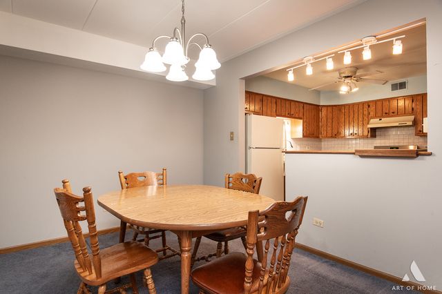 11119 Heritage Drive 1B, Palos Hills, IL 60465