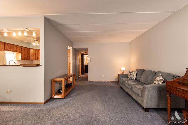 11119 Heritage Drive 1B, Palos Hills, IL 60465