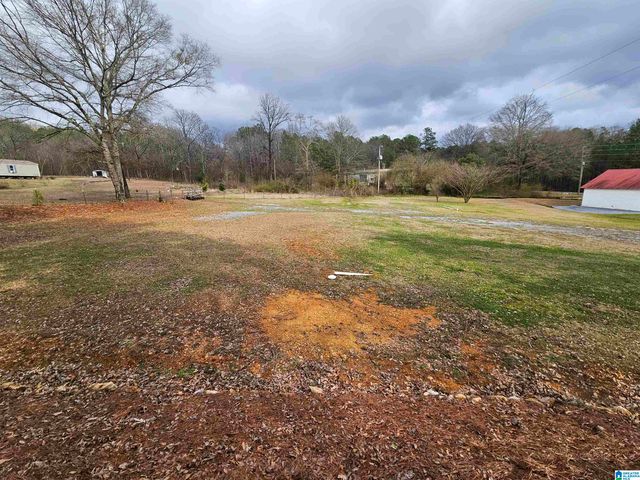 12880 PLANT ROAD, Alpine, AL 35044