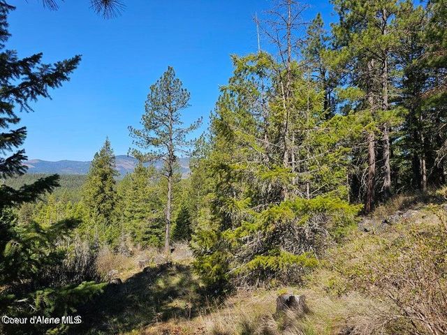 NNA N Sunset Hill Rd, Athol, ID 83801