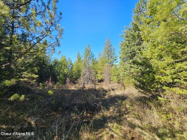 NNA N Sunset Hill Rd, Athol, ID 83801
