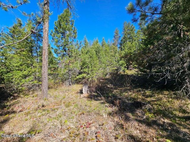 NNA N Sunset Hill Rd, Athol, ID 83801
