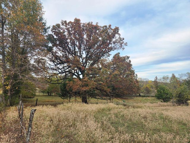 694 County Road 4919, Quitman, TX 75783