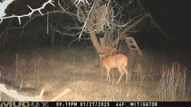 15110 County Road 2250, Dawson, TX 76639