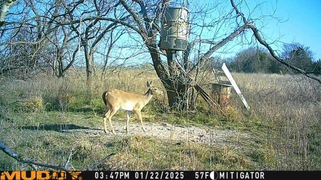 15110 County Road 2250, Dawson, TX 76639