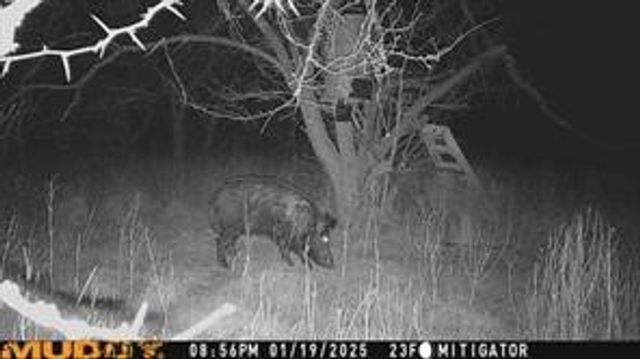 15110 County Road 2250, Dawson, TX 76639