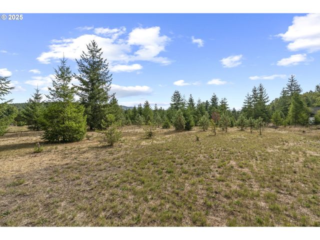 330 RILEY Ct, Toutle, WA 98649