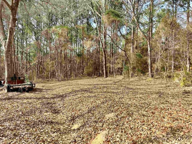 217 Hilltop Rd, Hallsville, TX 75650