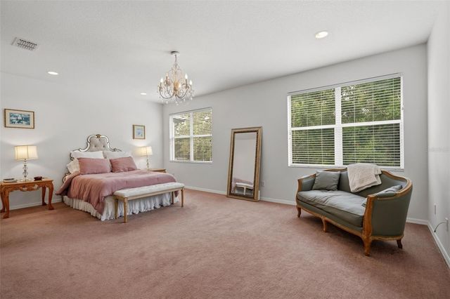 20008 BLUFF OAK BOULEVARD, Tampa, FL 33647