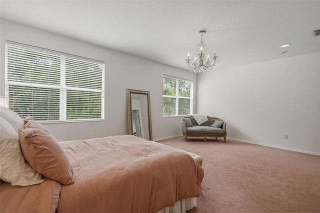 20008 BLUFF OAK BOULEVARD, Tampa, FL 33647