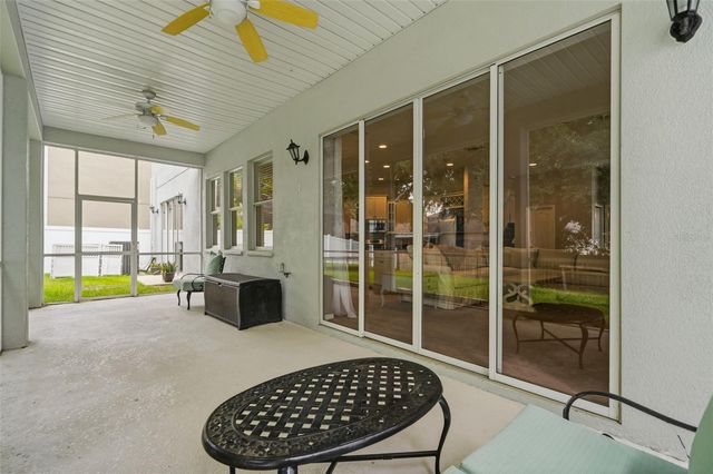 20008 BLUFF OAK BOULEVARD, Tampa, FL 33647