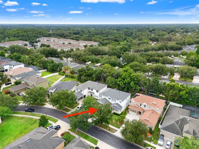 20008 BLUFF OAK BOULEVARD, Tampa, FL 33647