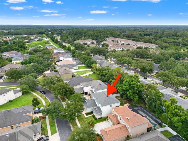 20008 BLUFF OAK BOULEVARD, Tampa, FL 33647