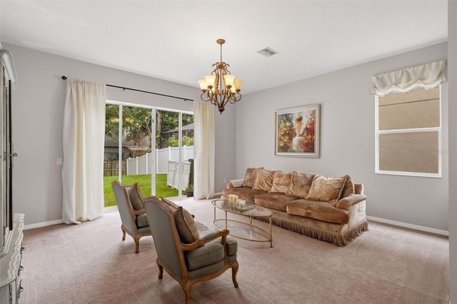 20008 BLUFF OAK BOULEVARD, Tampa, FL 33647